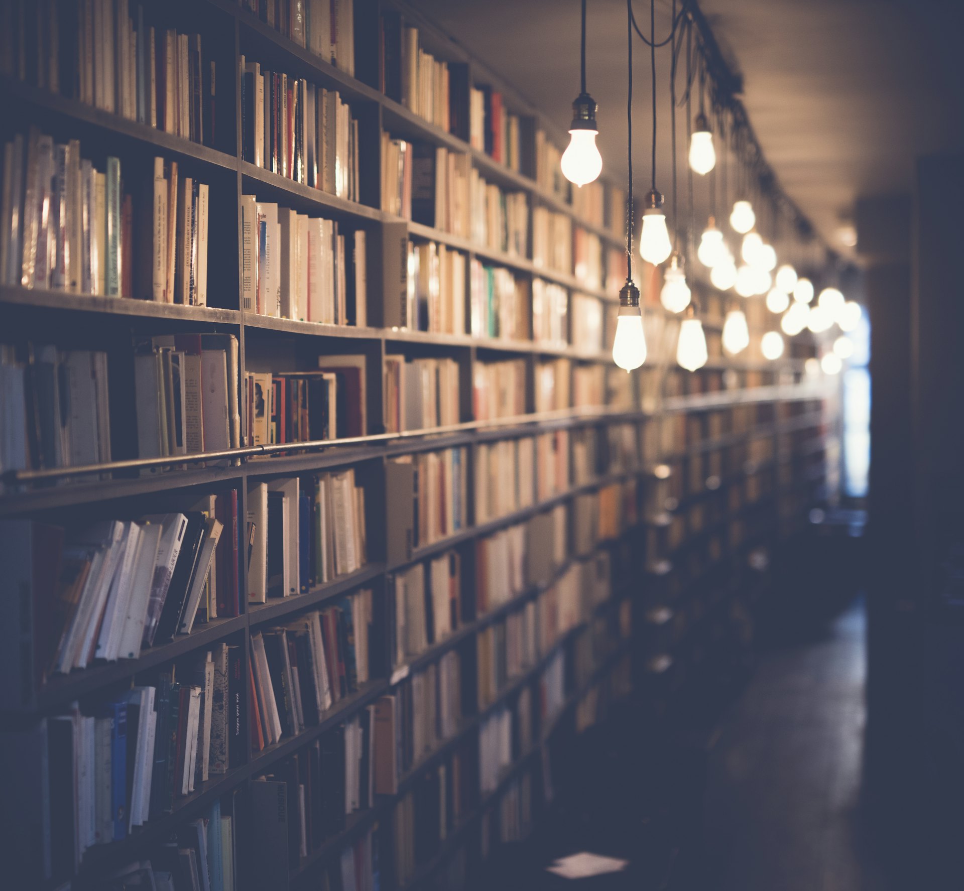 Warm-lit library